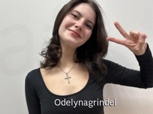 Odelynagrindel