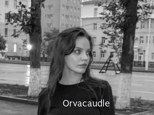 Orvacaudle