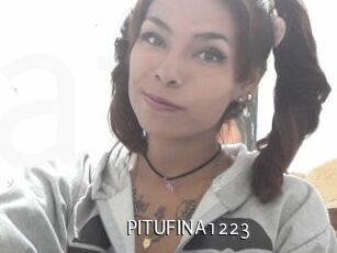 PITUFINA1223