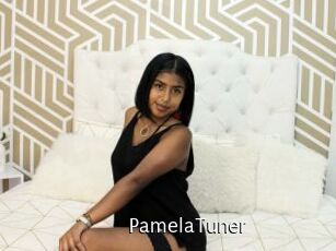 PamelaTuner