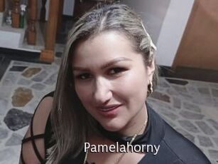 Pamelahorny