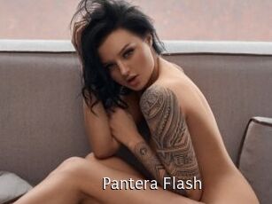 Pantera_Flash