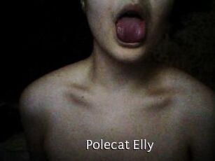 Polecat_Elly