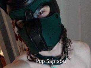 Pup_Samson