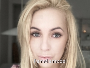 Pamelamodel