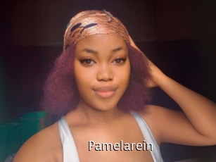 Pamelarein