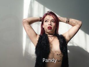 Pandy