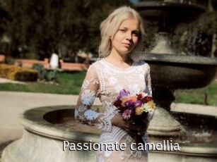 Passionate_camellia