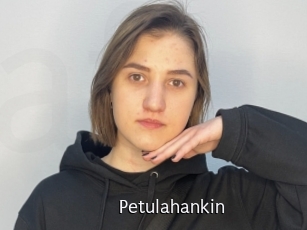 Petulahankin