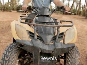 Pewnis