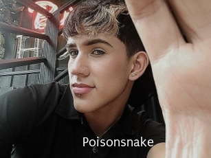 Poisonsnake