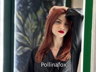 Pollinafox