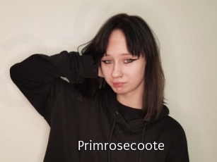 Primrosecoote