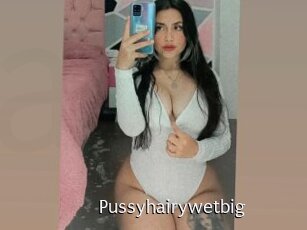 Pussyhairywetbig