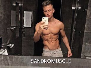 SANDRO_MUSCLE