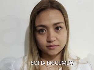 SOFIA_BIGCUMLW