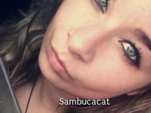 Sambucacat