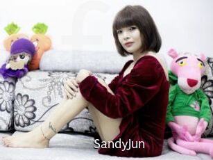 SandyJun