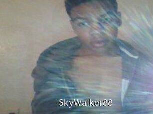 SkyWalker88