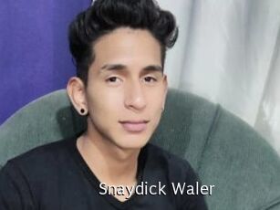 Snaydick_Waler