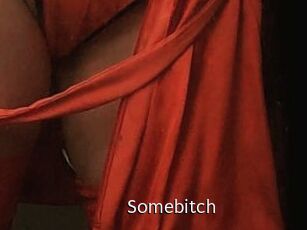 Somebitch