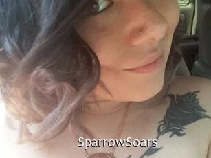 SparrowSoars