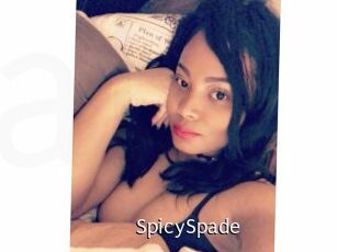 SpicySpade