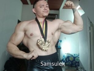 Samsulek