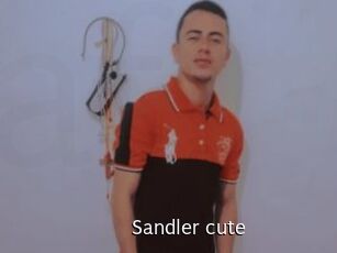 Sandler_cute