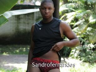 Sandrofernandes