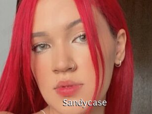 Sandycase