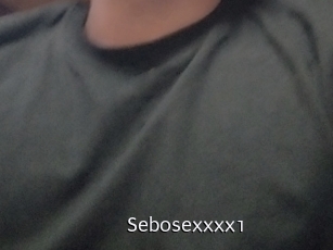 Sebosexxxx1