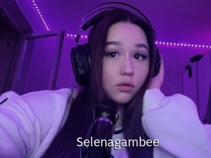 Selenagambee