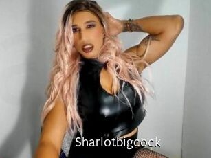 Sharlotbigcock