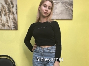 Sibleyarnet