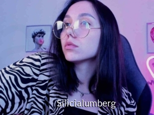 Silicialumberg