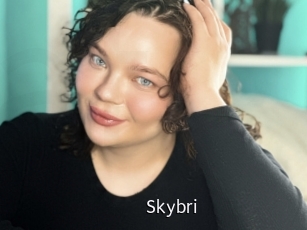 Skybri