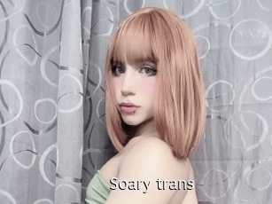 Soary_trans