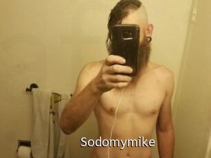 Sodomymike