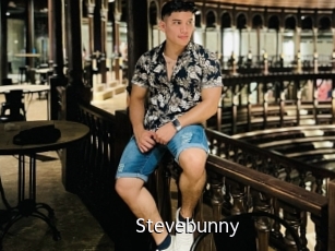 Stevebunny