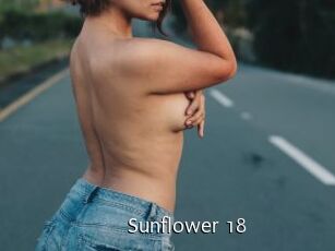 Sunflower_18