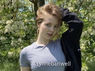 Synnebanwell