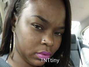 T_N_Ttiny