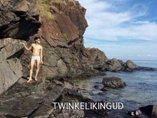 TWINKELIKINGUD