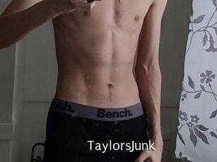 TaylorsJunk