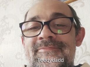 Teddydadd