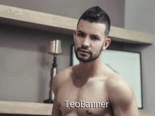 TeoBanner