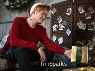 TimSparks