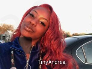 TinyAndrea