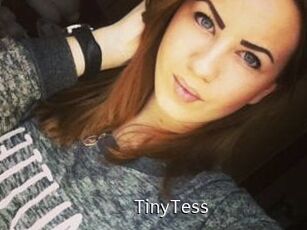 TinyTess